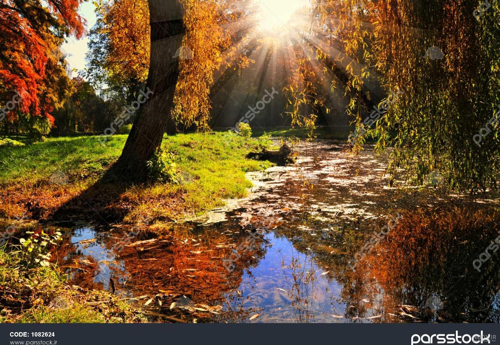 عکس طلوع خورشید در پاییز