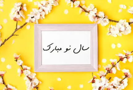 پروف پروف