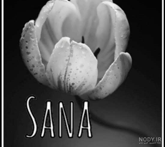 عسل