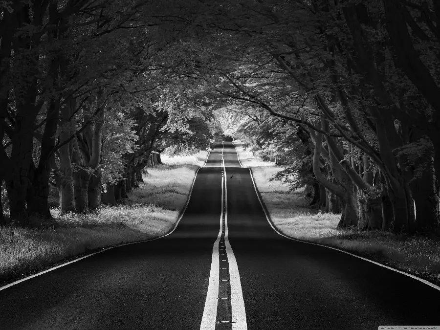 عکس سیاه سفید از جاده