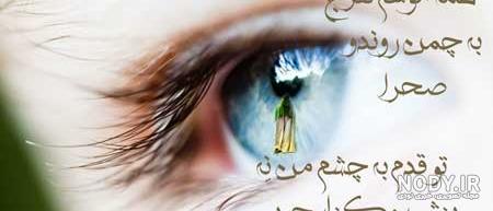 دختر دختر