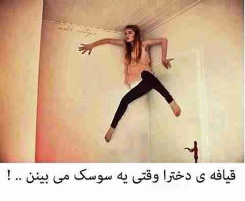 عکس زنان عنکبوتی عکس زنان عنکبوتی