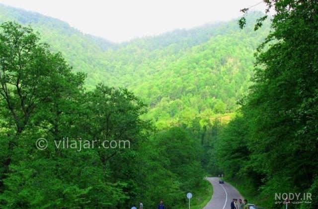 پارك جنگلي رودسر پارك جنگلي رودسر
