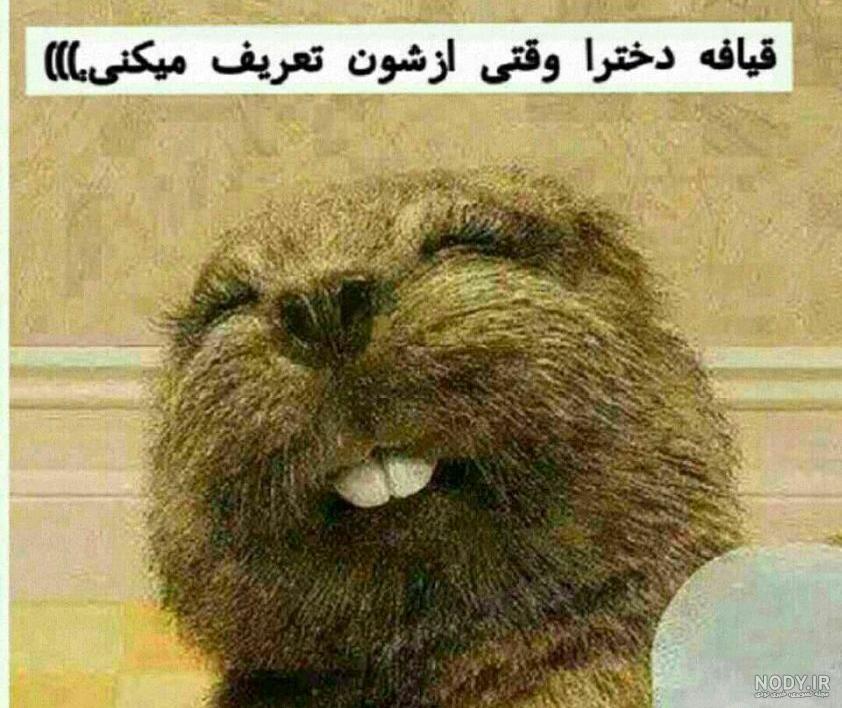 عکس ضد حال دخترونه