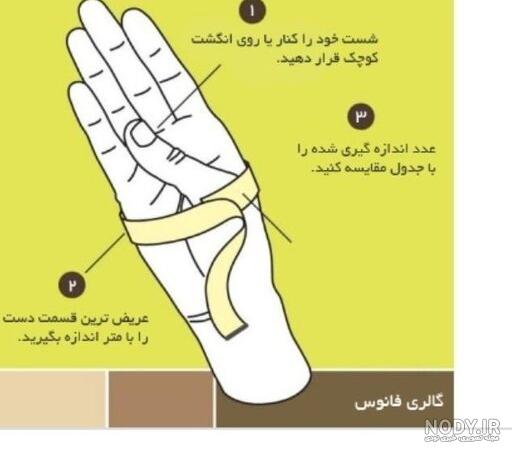 گردنبد گردنبد