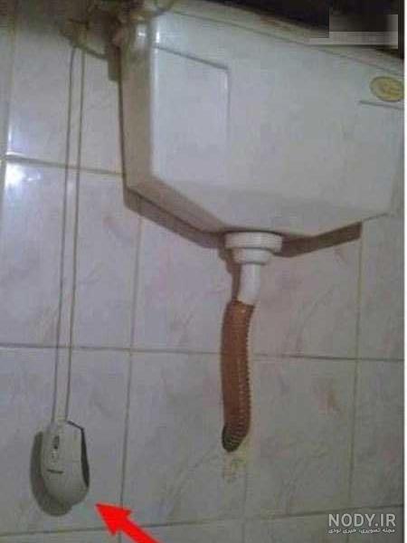 پروفایل پروفایل