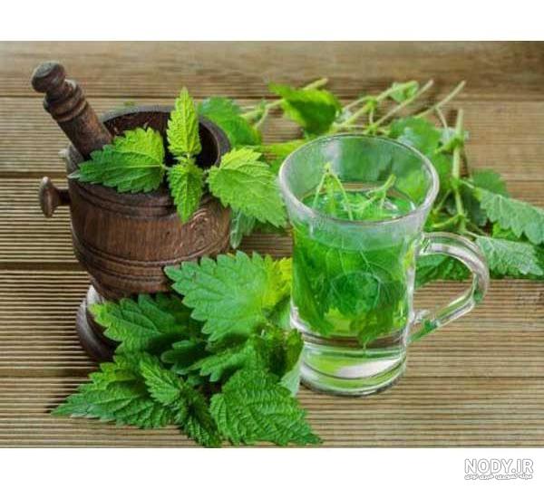 عکس عرق نعناع عکس عرق نعناع