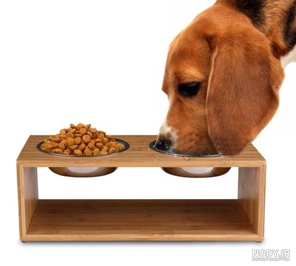 غذاي گربه غذاي گربه