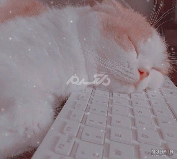بامزه
