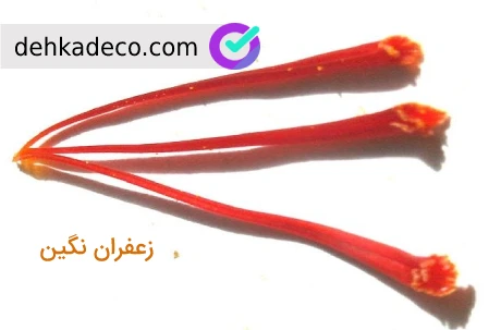 مثقال
