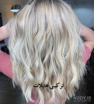 مدل موي