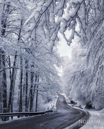 عکس جاده برفی زیبا