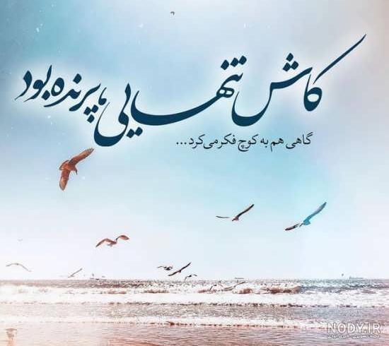 پروفايل تنهايي پروفايل تنهايي