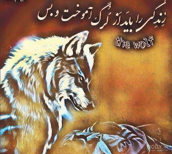 پروفایل پروفایل
