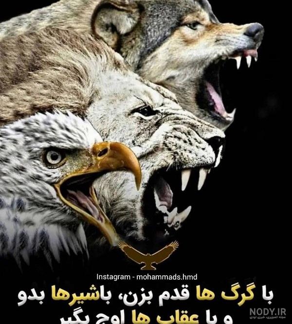 پلنگ پلنگ