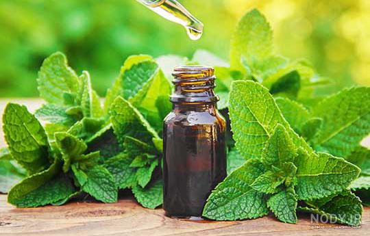 خواص روغن خواص روغن