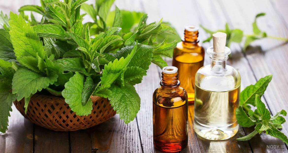 عکس اسانس نعناع عکس اسانس نعناع