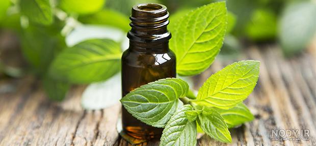 عکس روغن نعناع عکس روغن نعناع