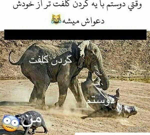 عکس جالب خنده دار برای پروفایل