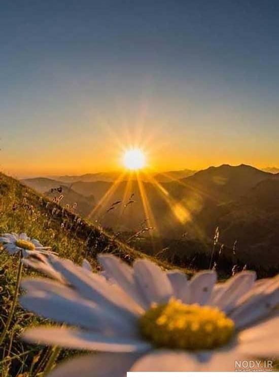 عکس خفن عکس طلوع خورشید در جاده