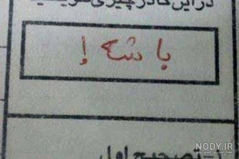 متن متن