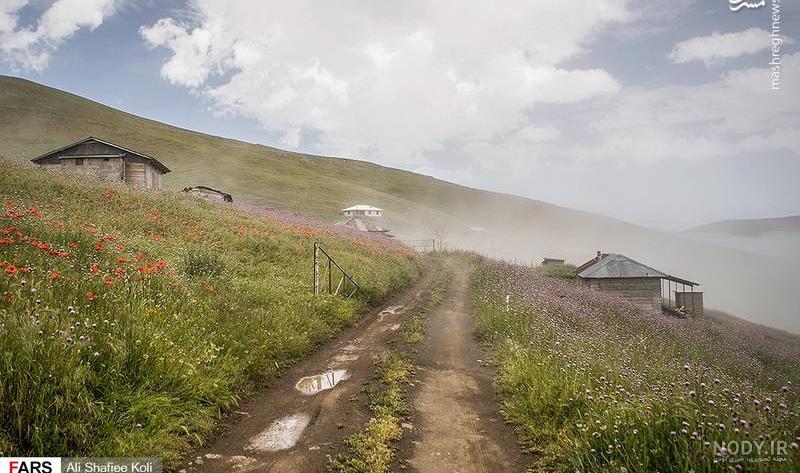 عکس جاده در روز