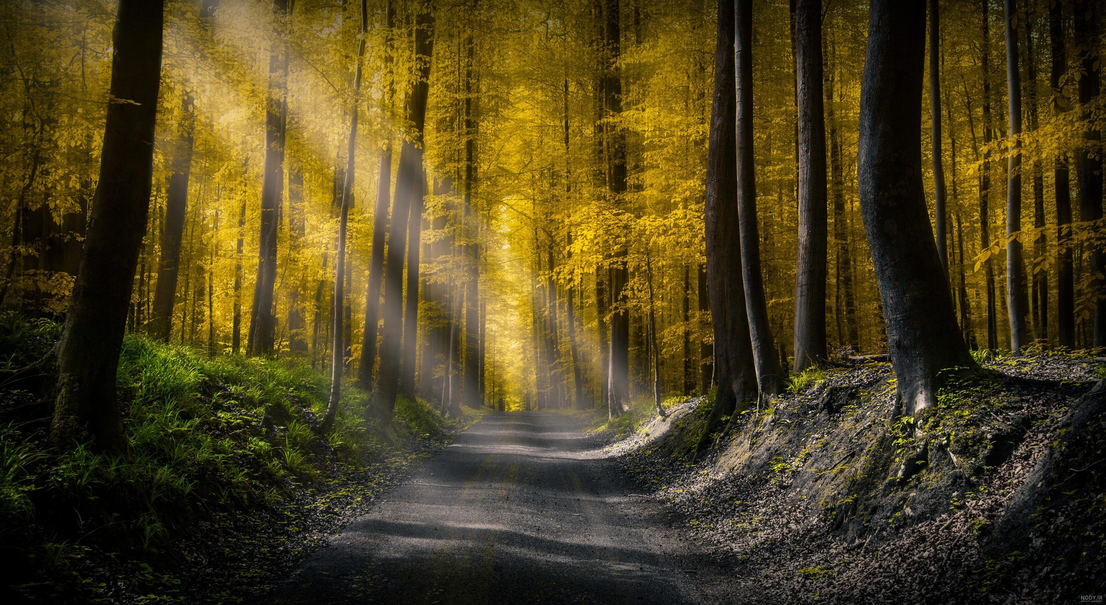 عکس جاده در روز