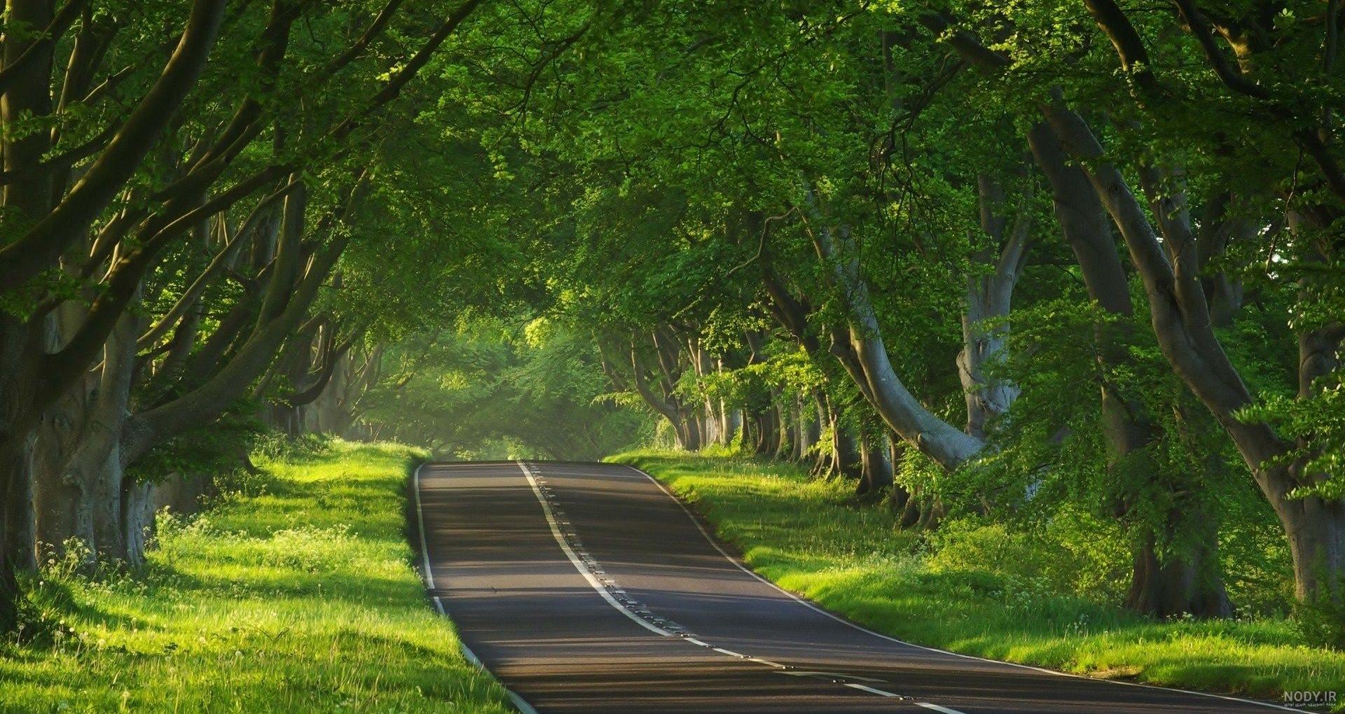 عکس خفن عکس جاده از بغل