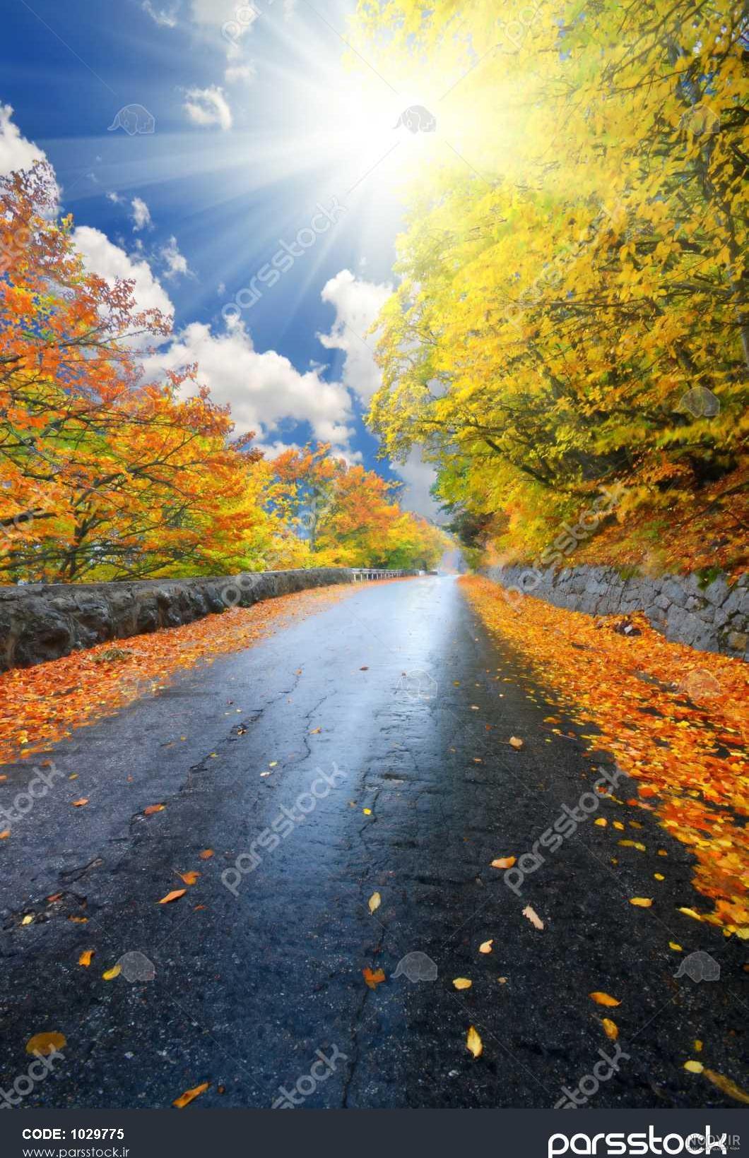 عکس خفن عکس جاده از بغل