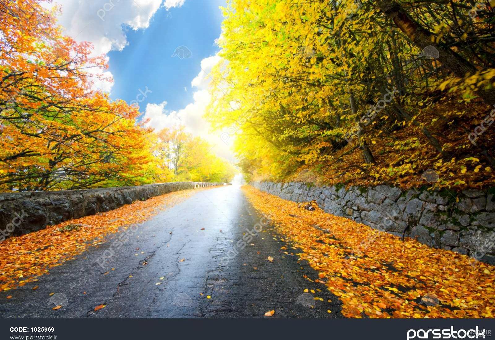 عکس جاده در روز