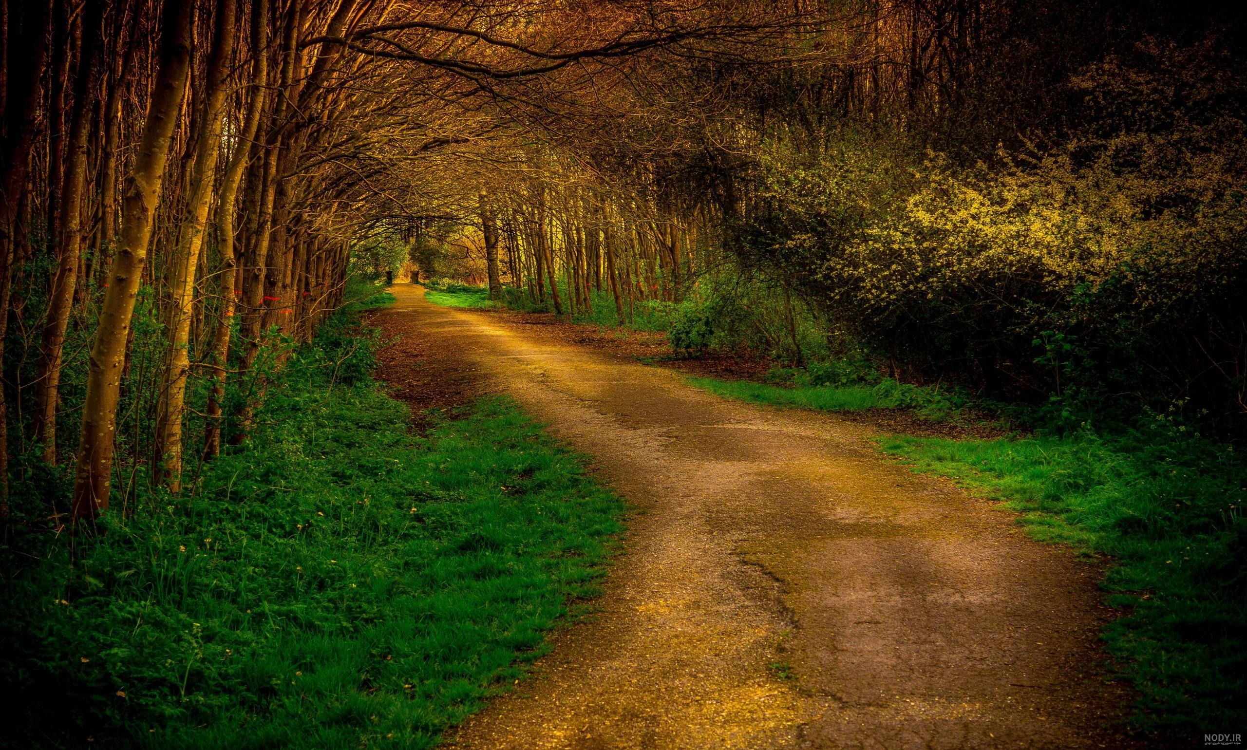 عکس جاده در روز