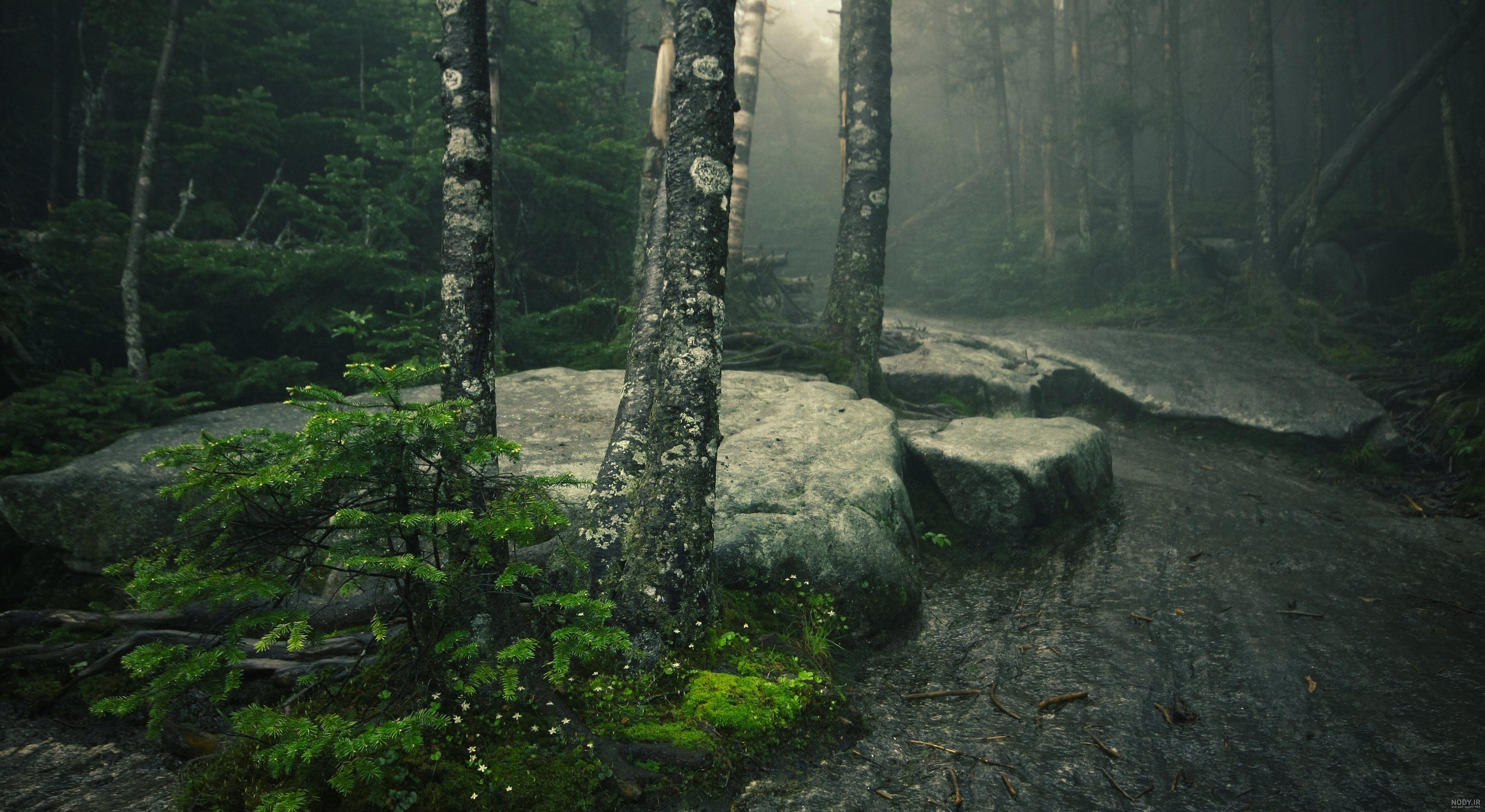 عکس جاده در روز