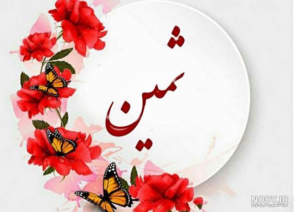 متن متن