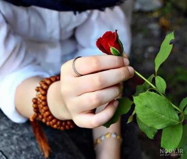 پروفایلی