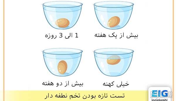 کوچکترین میمون