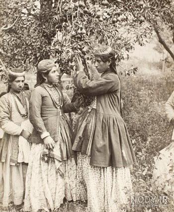 زیباترین