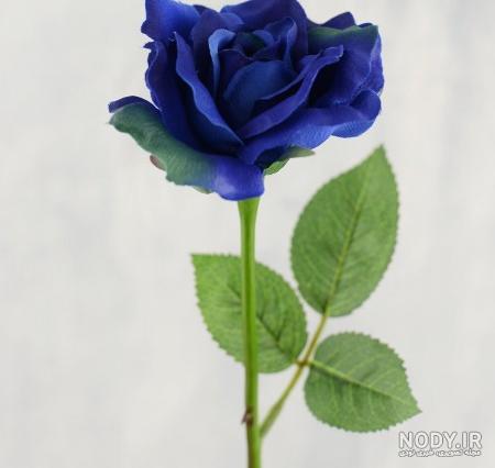 دختر مو