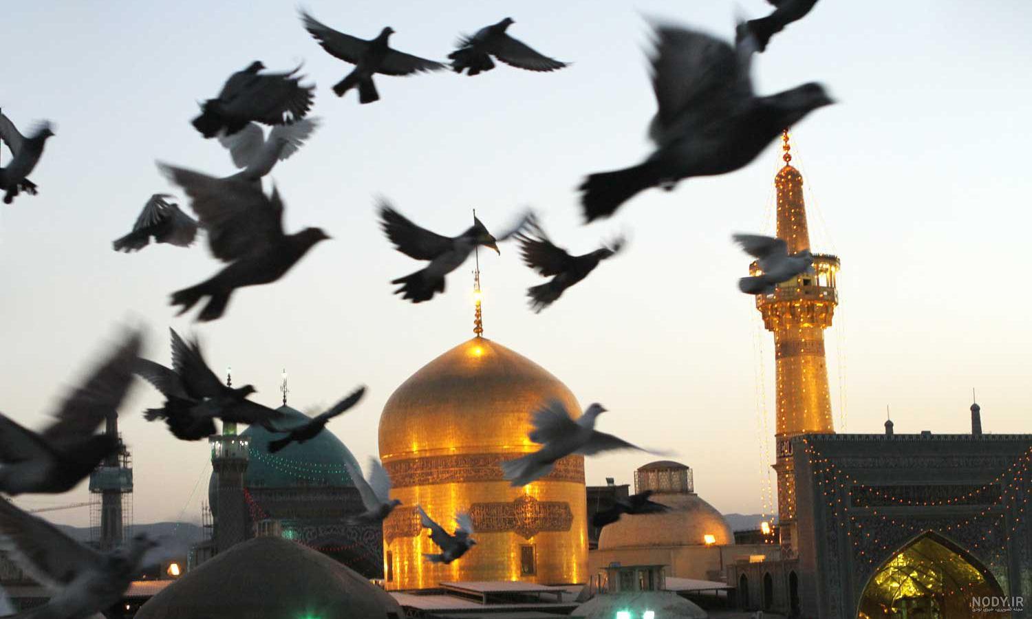 عکس از حرم امام رضا جدید
