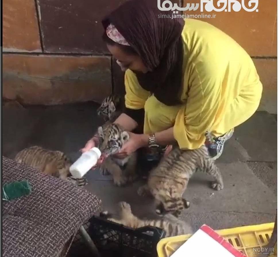 ببرش ببرش
