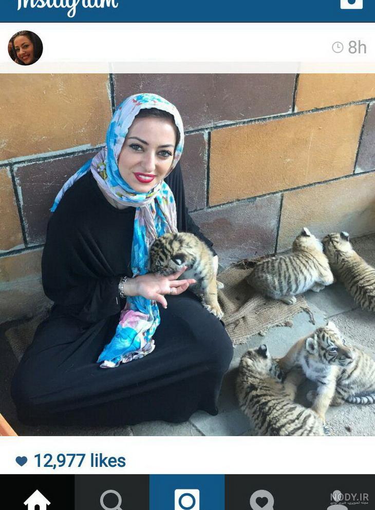 بنگال بنگال