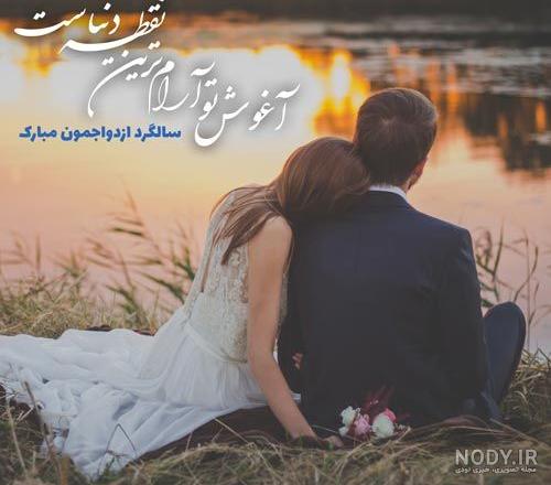 تیر ماهی