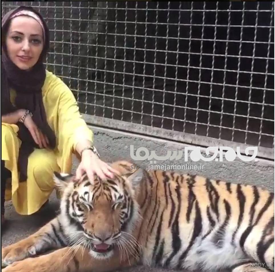 عکس پلنگ نفیسه روشن عکس پلنگ نفیسه روشن