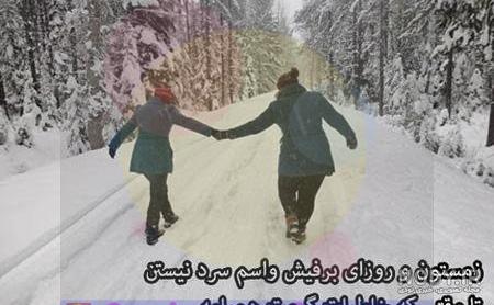 سنجاب