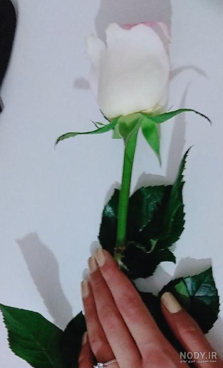 خودرو خودرو