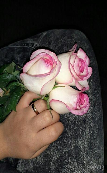 دخترونه دخترونه