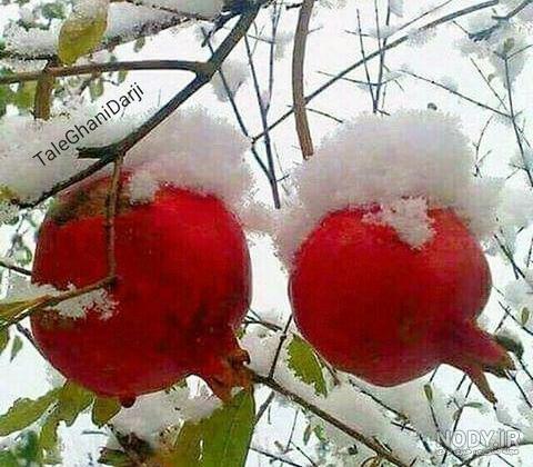 زمستان برفي