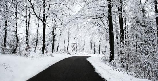 عکس طبیعت زمستانی برای پروفایل