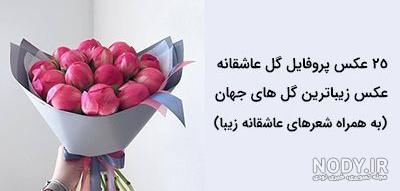 برای پروفايل