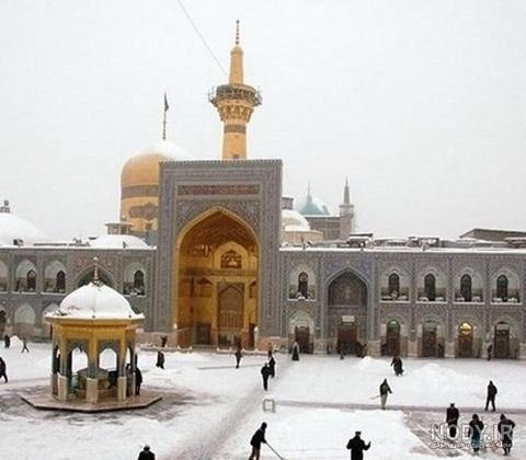 حیوانات حیوانات