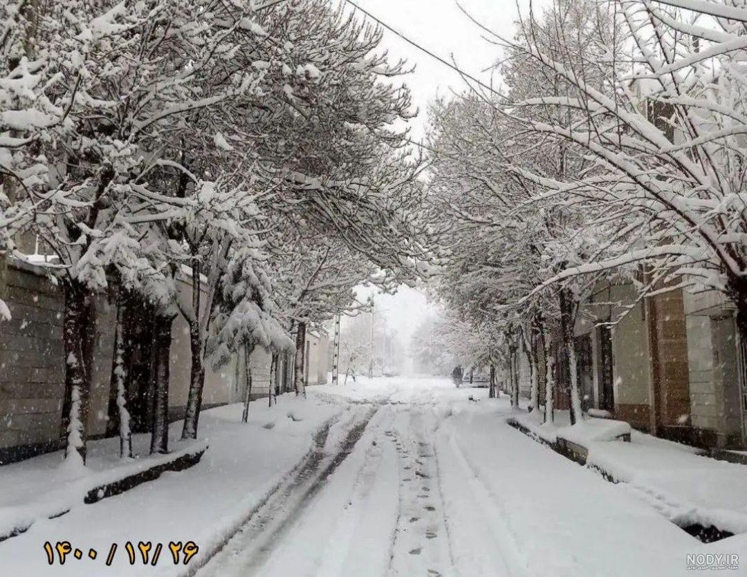 قوچان نژاد